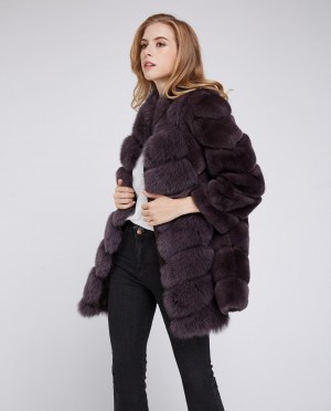 Rex Rabbit Fur Coat with Fox Fur Trim