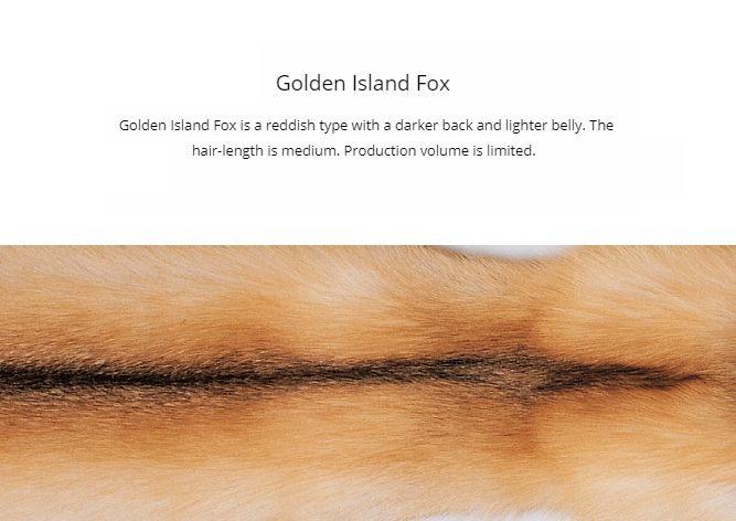 SAGA Golden Island Fox Fur