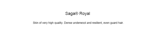 saga_mink_royal