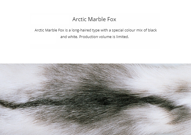 Arctic Marble Fox Fur