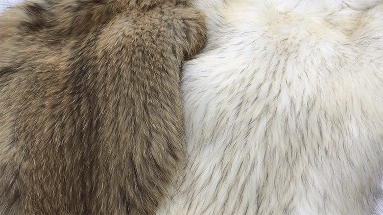 Hooded Knitted Raccoon Fur Jacket 307-7