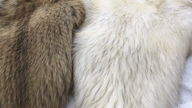 Hooded Knitted Raccoon Fur Jacket 307-8