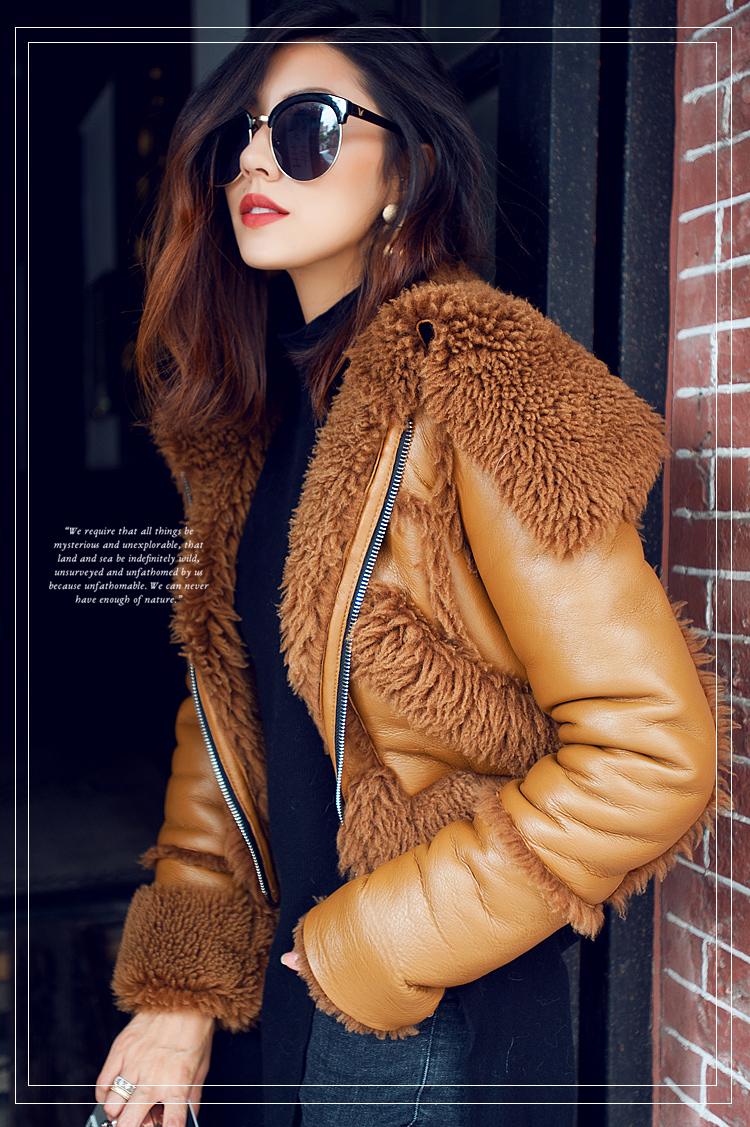 Merino Shearling Sheepskin Cropped Jacket 093 Details 5