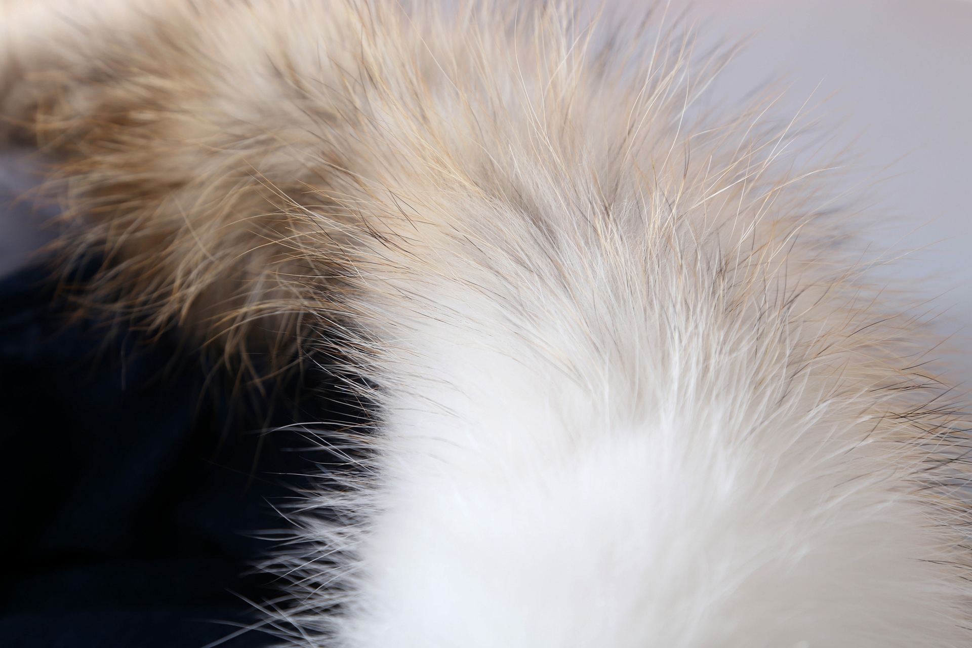 Raccoon Fur Trimmed Hooded Denim Parka with Detachable Mink Fur Liner 0066-9