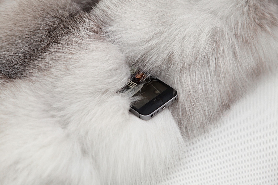 Shadow Blue Frost Fox Fur Hooded Vest 0003-16