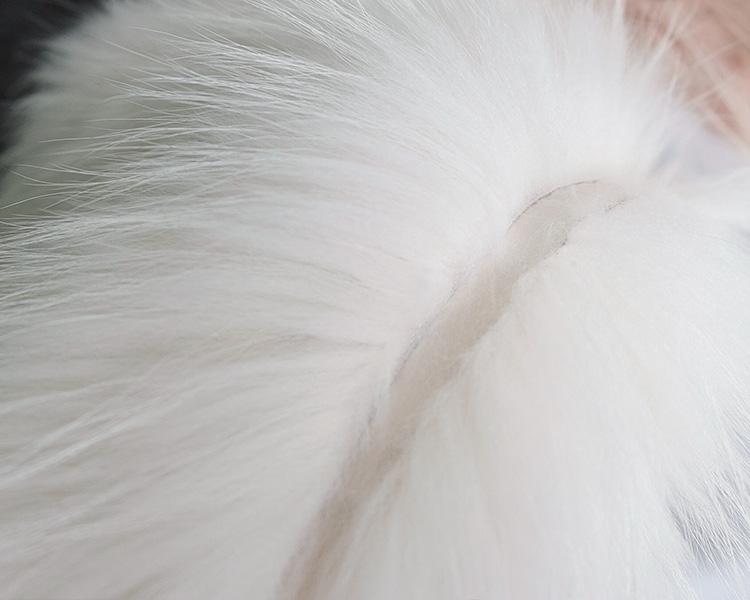 Raccoon Fur Vest 310-6