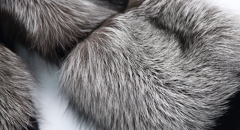 Men's Silver Fox Fur Jacket 356-4